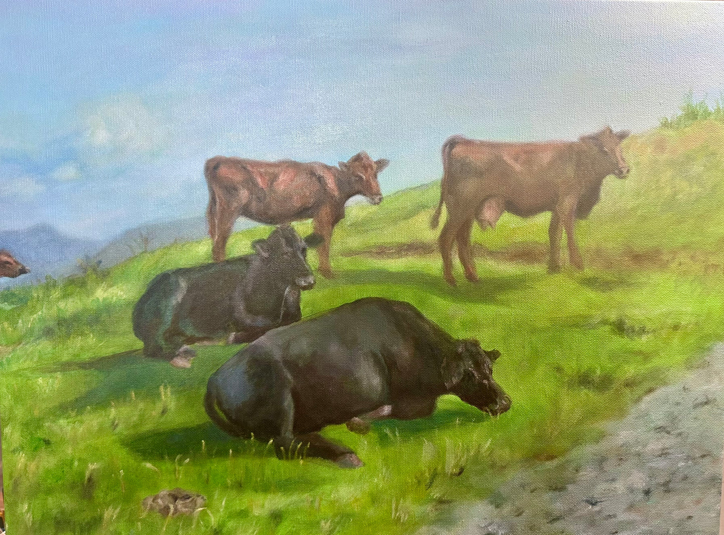 Cows on Bearwallow