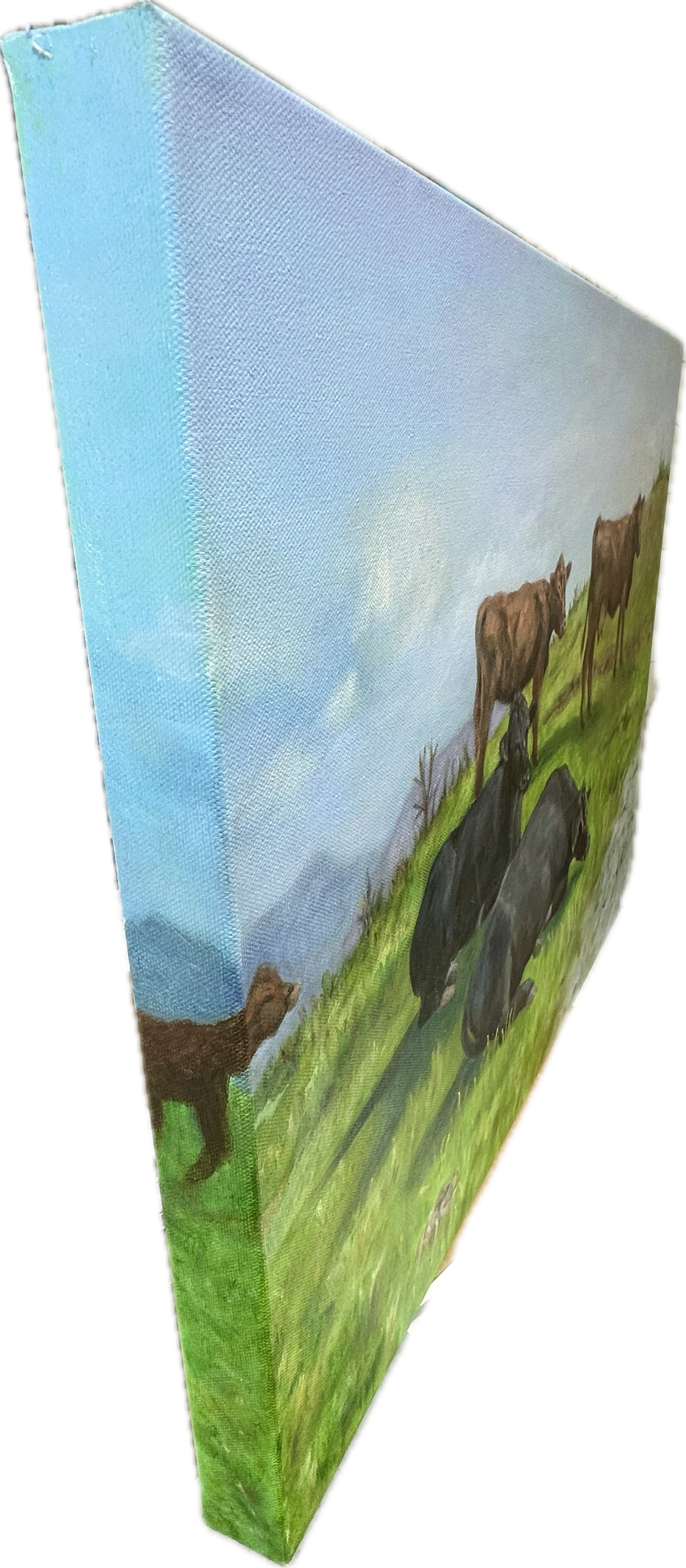 Cows on Bearwallow