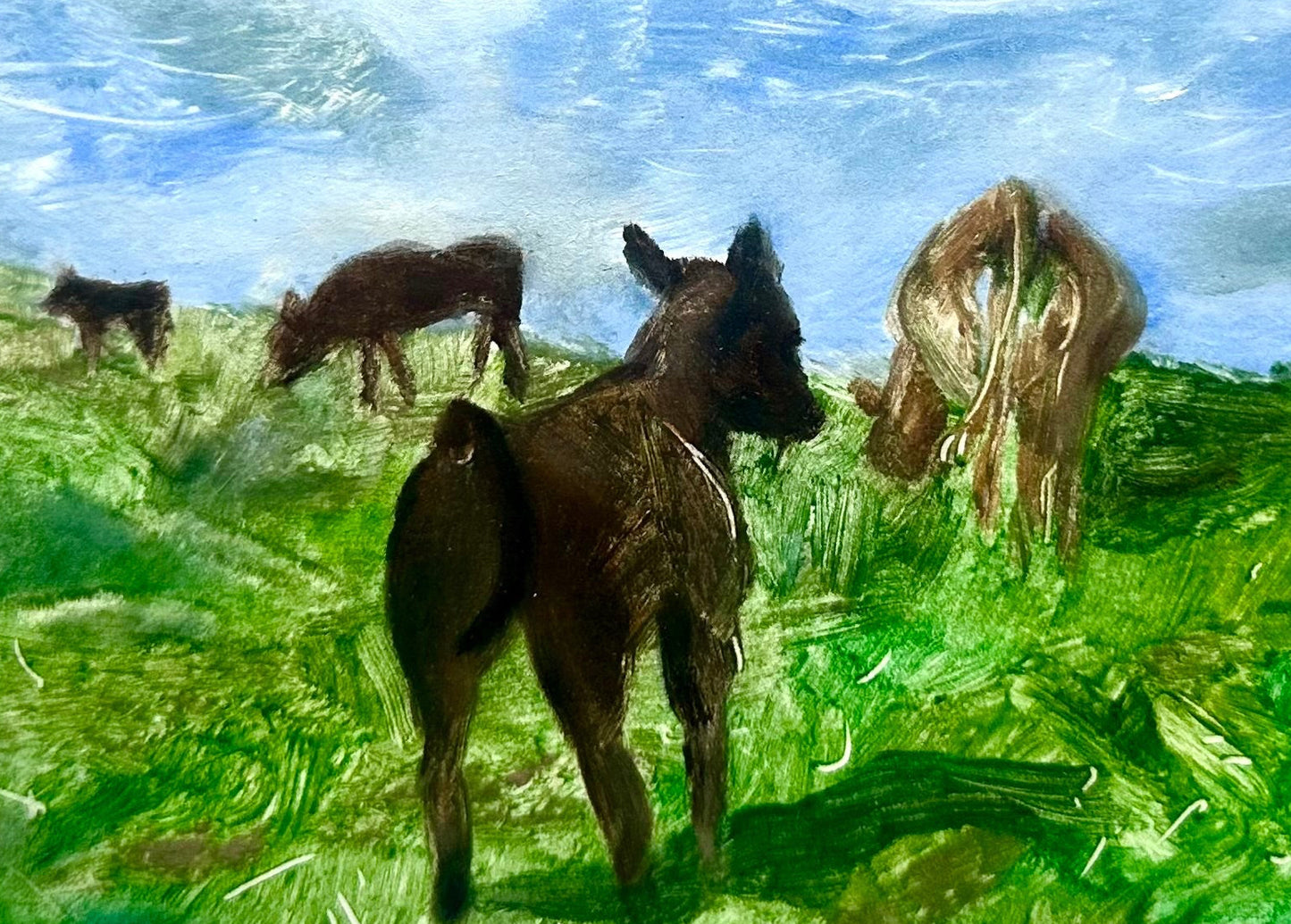 Bearwallow Pastures Print